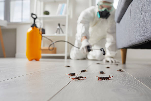 Commercial Rodent Management in Bradfordville